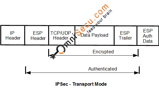 IPSec transport mode encapsulation