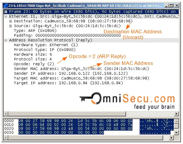 ARP Reply wireshark capture