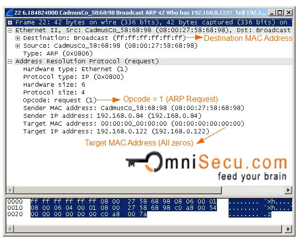 ARP Request Wireshark Capture