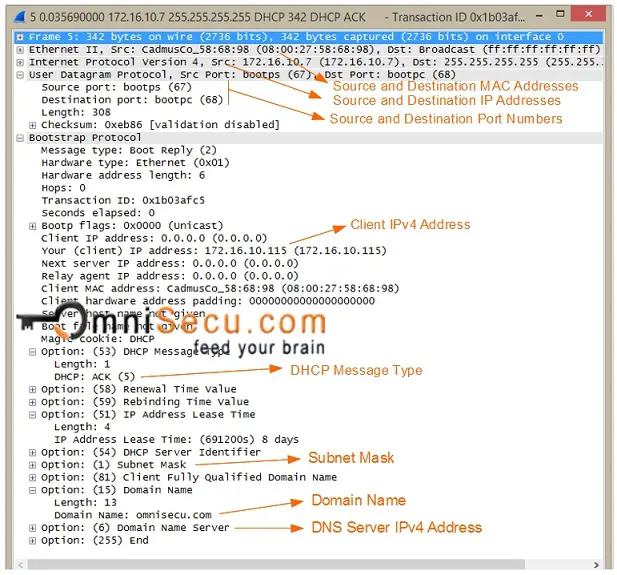 DHCP ACK Message Capture