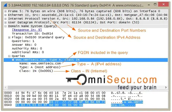 DNS Query Captured