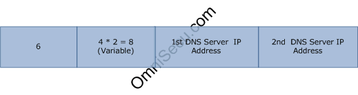 Dynamic Host Configuration Protocol DHCP DNS Server Option