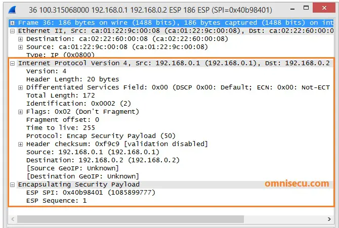 ESP IPSec packet