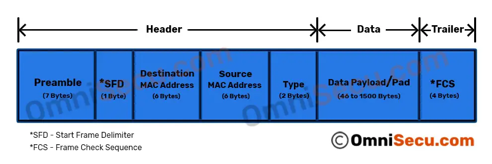 frame-header-trailer-data.jpg