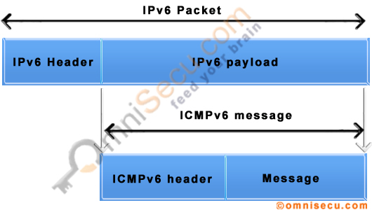 ICMPv6 Message Encapsulation