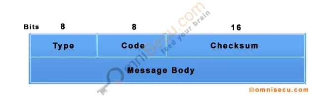 ICMPv6 Message Packet Format