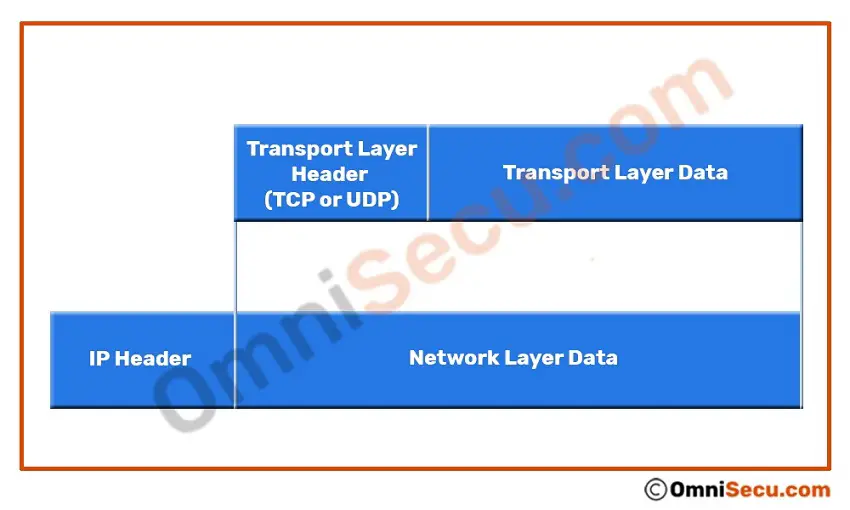 network-layer-encapsulation.jpg