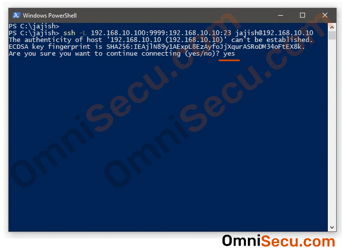 ssh-port-forwarding-03.gif