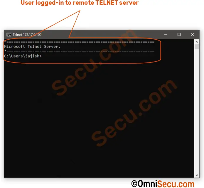 telnet-user-logged-in.jpg