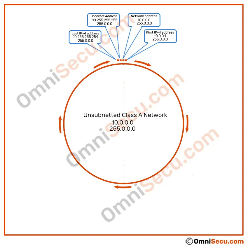 unsubnetted-class-a-network-visualization.jpg