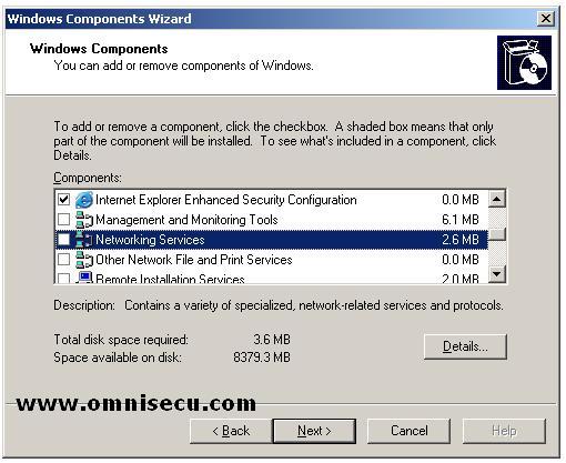 DNS Installation Select Networking Services