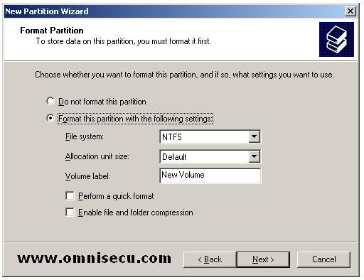 Logical drive new partition wizard format partition