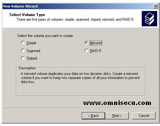 Mirrored New Volume Wizard Select Volume Type