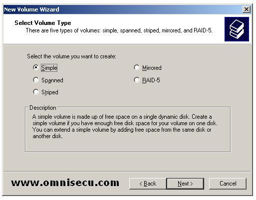 New Volume Wizard Select Volume Type